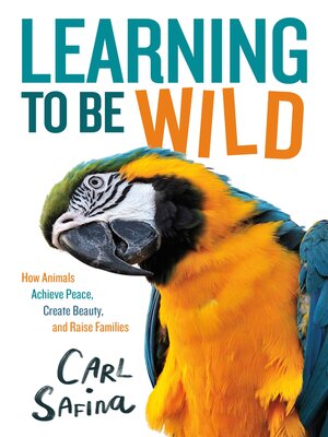 cover image of Learning to Be Wild (A Young Reader's Adaptation)